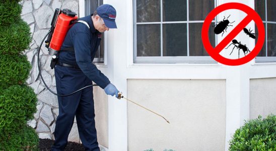 Özkanlar Kene İlaçlama böcek ilaçlama ve haşere kontrolü — ilaclama-tr.com